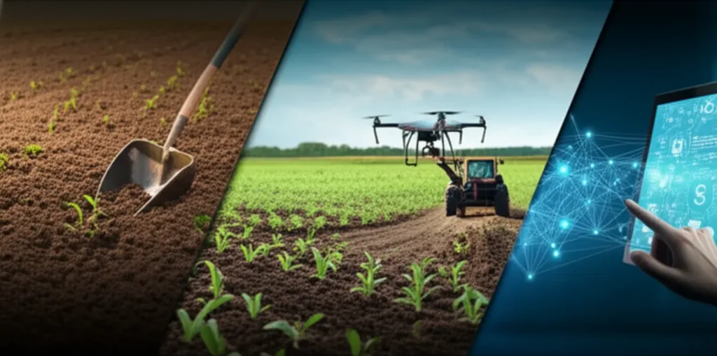 Digital Transformation Examples: 3 Real Cases in Action